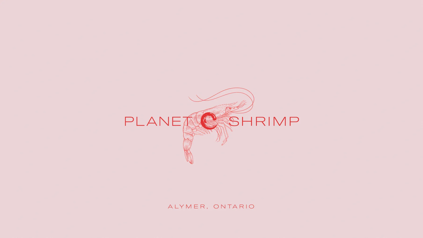 Planet Shrimp
